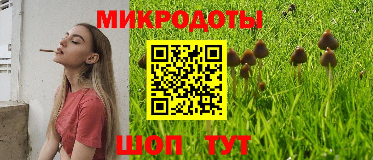 Галлюциногенные грибы Cubensis Тулун