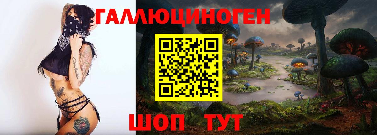Галлюциногенные грибы Magic Shrooms  Вход с VPN  Тулун 